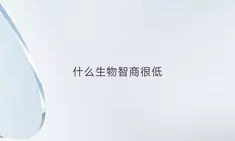 什么生物智商很低(什么动物智商低)