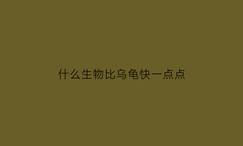 什么生物比乌龟快一点点(什么动物比乌龟快一点点)