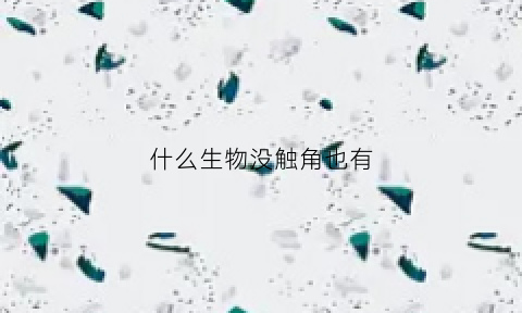 什么生物没触角也有(没有触角的软体动物)