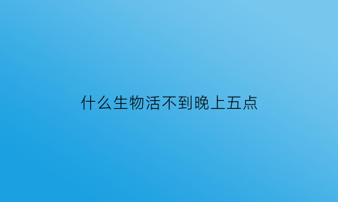 什么生物活不到晚上五点(什么动物不在晚上活动)