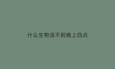 什么生物活不到晚上四点(什么动物活不到一天)