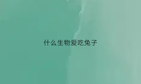 什么生物爱吃兔子