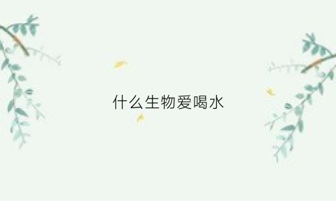 什么生物爱喝水