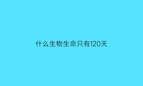 什么生物生命只有120天(什么生物生命只有120天呢)