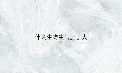 什么生物生气肚子大(什么动物生气时最凶)