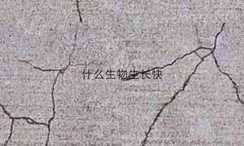 什么生物生长快(什么生物生长快一点)