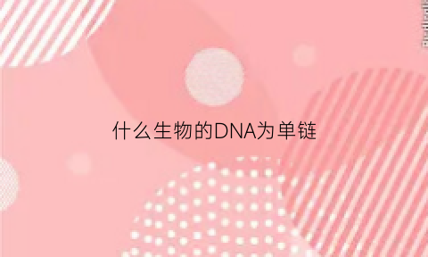 什么生物的DNA为单链(单链dna存在于哪些生物体内)