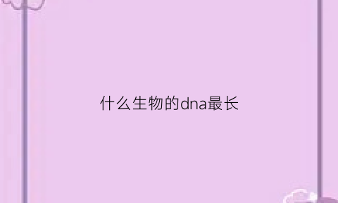 什么生物的dna最长