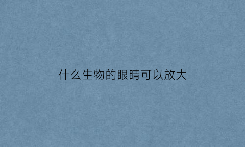 什么生物的眼睛可以放大(哪种动物眼睛很大)