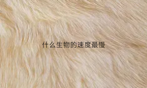 什么生物的速度最慢