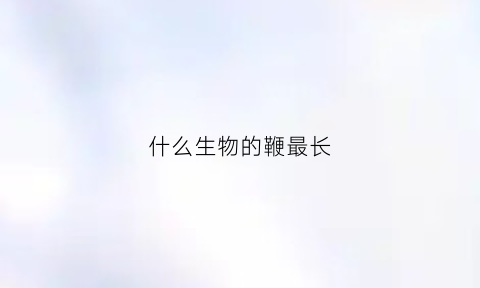 什么生物的鞭最长