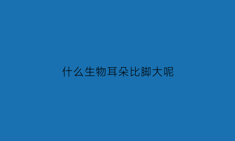 什么生物耳朵比脚大呢(什么动物耳朵比较大)