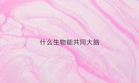 什么生物能共同大脑(什么生物能共同大脑发育)