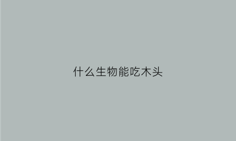 什么生物能吃木头(吃木头的生物)