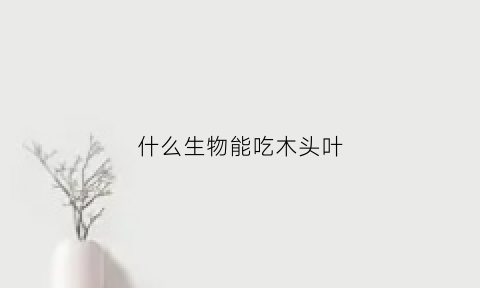 什么生物能吃木头叶(什么动物吃木屑)