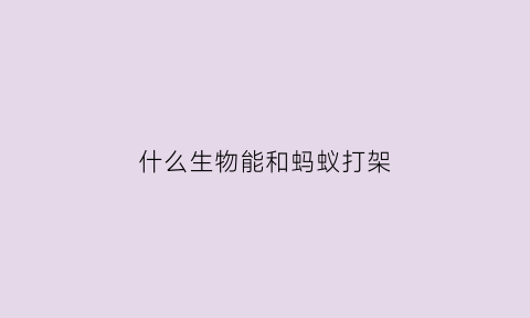 什么生物能和蚂蚁打架(蚂蚁和什么动物配成对)
