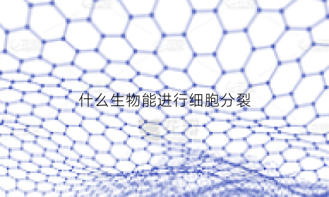 什么生物能进行细胞分裂(什么细胞具有分化能力)