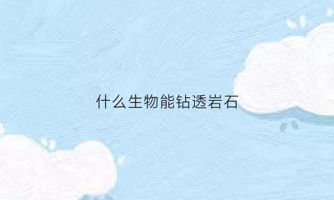 什么生物能钻透岩石(什么动物可以钻洞)