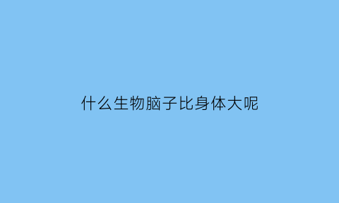 什么生物脑子比身体大呢(什么动物身体大脑子小)