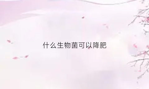 什么生物菌可以降肥