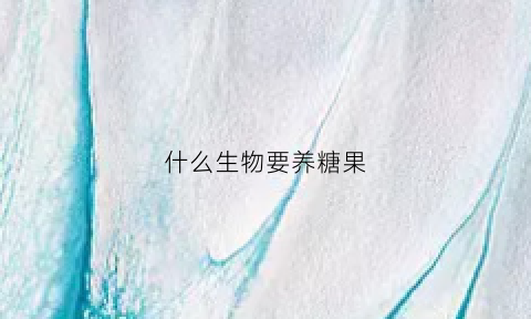 什么生物要养糖果(用糖水养的生物)
