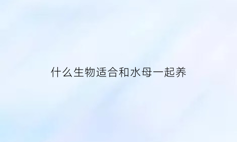 什么生物适合和水母一起养(什么生物适合和水母一起养殖)