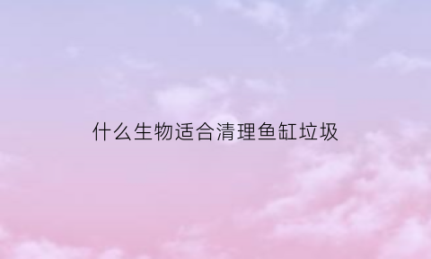 什么生物适合清理鱼缸垃圾(什么鱼可以清洁鱼缸里面的垃圾)