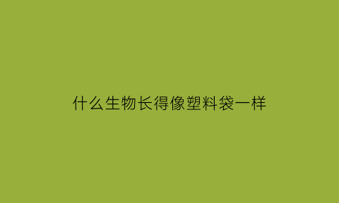 什么生物长得像塑料袋一样