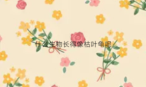 什么生物长得像枯叶龟呢(什么生物长得像枯叶龟呢视频)