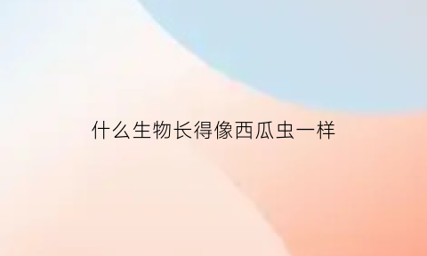 什么生物长得像西瓜虫一样(长的很像西瓜虫的虫子)