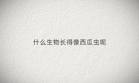 什么生物长得像西瓜虫呢(长的很像西瓜虫的虫子)