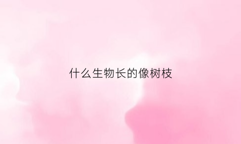 什么生物长的像树枝(长得像树枝一样的植物)