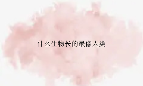 什么生物长的最像人类(长的最像人类的动物是什么)