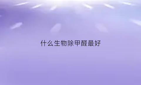 什么生物除甲醛最好(哪种东西除甲醛最好)