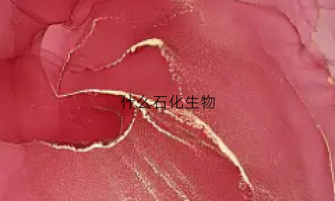 什么石化生物(生物化石能源)