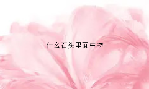 什么石头里面生物(石头下有什么生物)