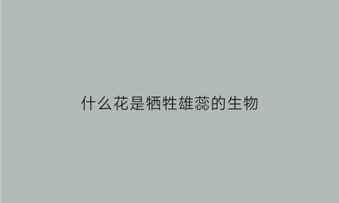 什么花是牺牲雄蕊的生物(什么花代表牺牲)