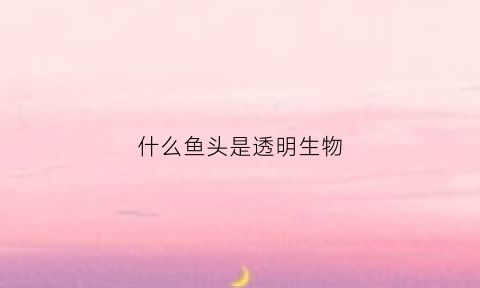 什么鱼头是透明生物(什么鱼头是透明生物的)