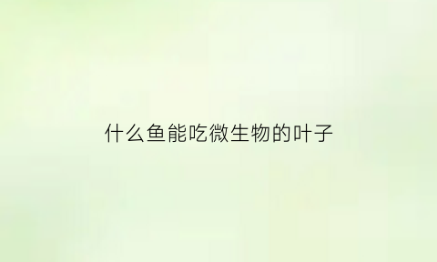 什么鱼能吃微生物的叶子