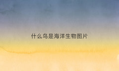 什么鸟是海洋生物图片(什么鸟是鸟类)