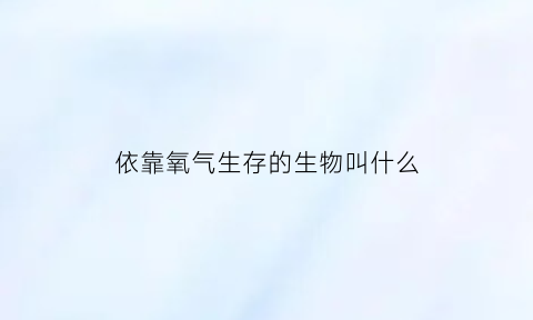 依靠氧气生存的生物叫什么