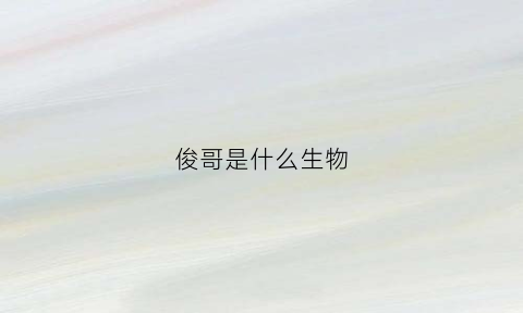 俊哥是什么生物(俊哥俊哥俊哥什么歌)
