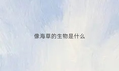 像海草的生物是什么