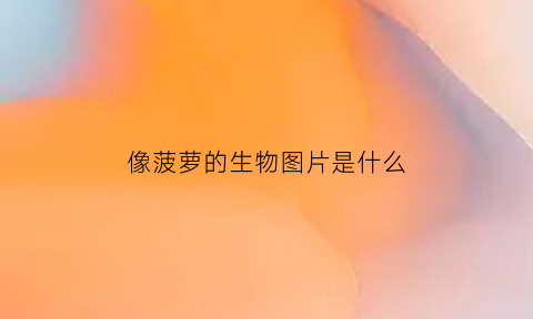 像菠萝的生物图片是什么(像菠萝的水果有哪些)