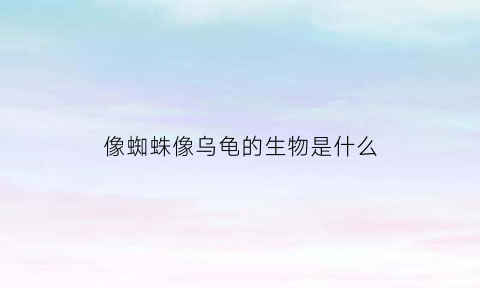 像蜘蛛像乌龟的生物是什么