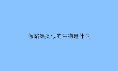 像蝙蝠类似的生物是什么