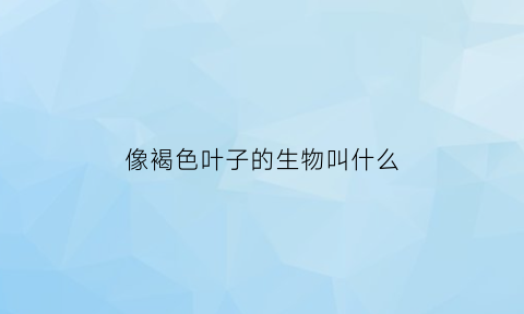 像褐色叶子的生物叫什么(像褐色叶子的生物叫什么植物)