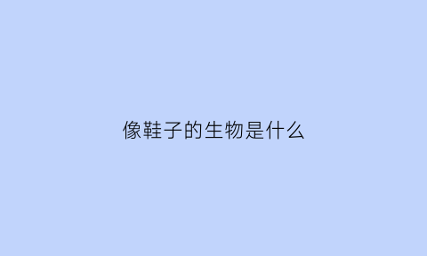 像鞋子的生物是什么(像鞋子的生物是什么)