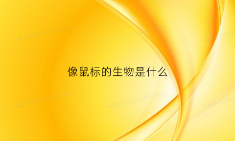 像鼠标的生物是什么(像鼠标的生物是什么生物)