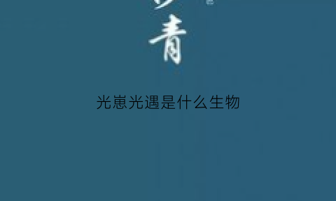 光崽光遇是什么生物(光遇崽的意思)